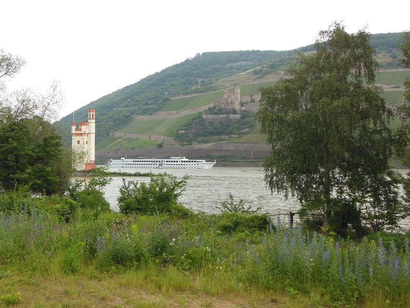 Mauseturm en burg ehrenfels.jpg - Buiten Bingen treffen we de Mauseturm aan. Deze toren, die op een klein eiland in de Rijn staat, diende om tol te heffen op dit deel van de rivier. Burg Ehrenfels, die je op de achtergrond ziet liggen, moest zorgen voor de nodige militaire druk.